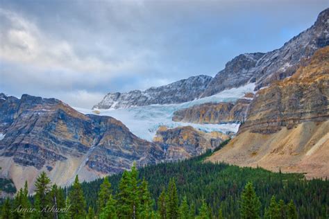 Crowfoot Glacier — Banff Moments