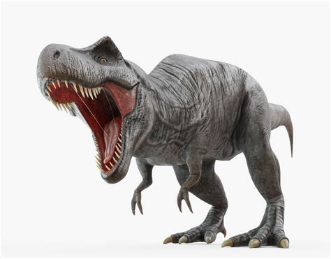 Tyrannosaurus Rex Rigged for Blender 3D asset | CGTrader