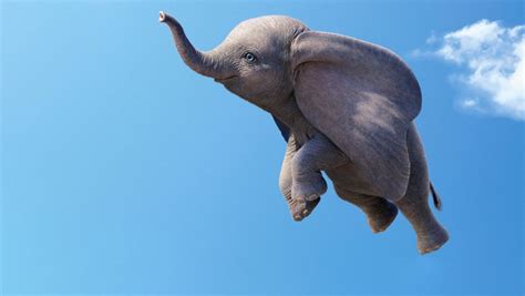 No Feathers Needed—How the Dumbo VFX Team Made an Elephant Fly - D23