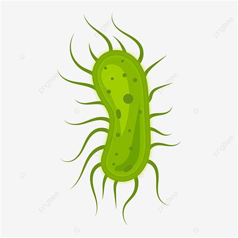 Bacteria Illustration Vector Art PNG, Bacteria Design Vector Illustration, Bacteria, Vector ...