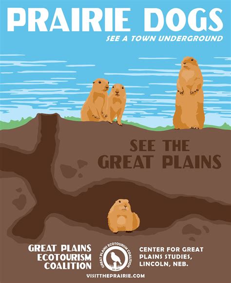 Prairie Dogs Poster from the Great Plains Ecotourism Coalition | Ecotourism Products | Gifts ...