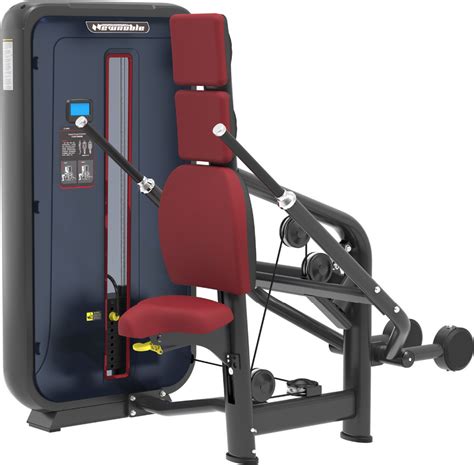 Tricep Press Machine at Rs 22000 | Single Station Gym Equipments in Howrah | ID: 12830067755