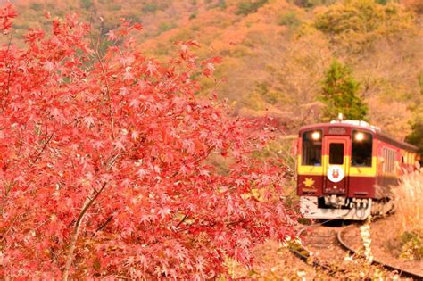 Fall For Japan All Over Again This Autumn At 12 Stunning Sightseeing ...