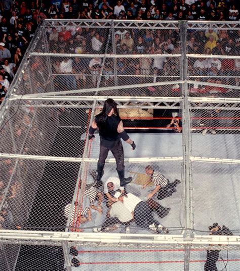 Image - Mankind vs The Undertaker Hell in a Cell Match King of the Ring ...