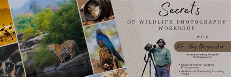 WORKSHOP EXPERIENCE- SECRETS OF WILDLIFE PHOTOGRAPHY - Nature Explorers India