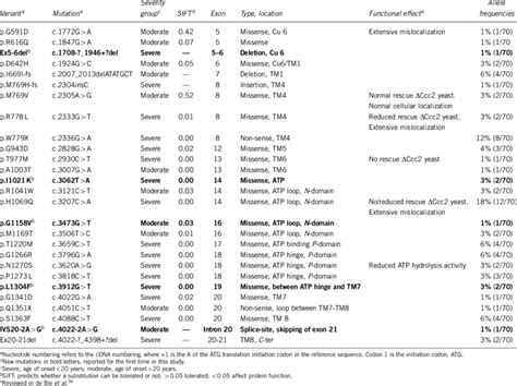 Classification of mutations | Download Table