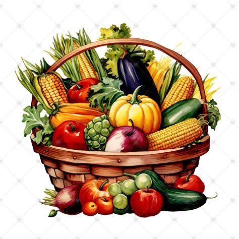 Harvest Basket Clipart Bundle 10 High Quality Watercolor - Etsy