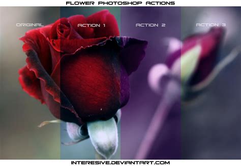 Flower Photoshop Actions by interesive on DeviantArt