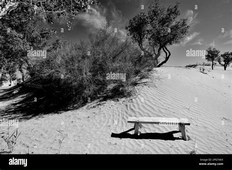 Lop desert Black and White Stock Photos & Images - Alamy