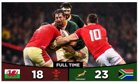 To all redditors of r/springboks congratulations! We are supporting the ...