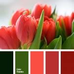 Color Palette #40 | Color Palette Ideas