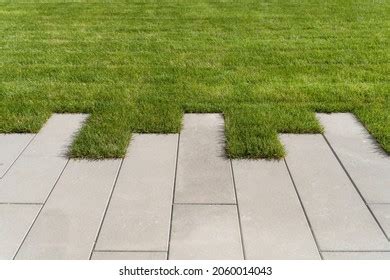 Long Path in Grass Free Stock Photo | picjumbo