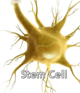 Claim of first human stem cell trial unravels - Genetic Literacy Project