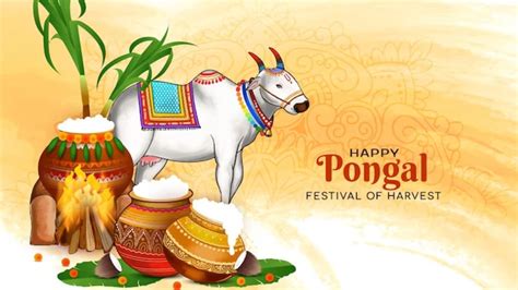 Pongal 2024 Day 3: Date, Significance And Rituals Of Mattu Pongal ...