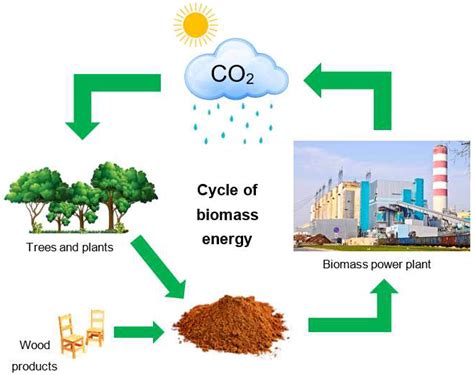 Biomass Plant