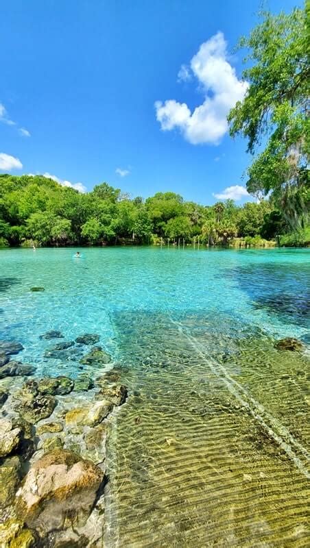 Best Ocala National Forest springs (prettiest springs!) 🌴 swimming ...