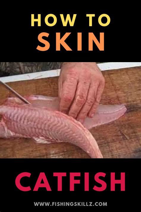 Skinning Catfish | Learn How To Skin a Catfish (3 Easy Steps ...