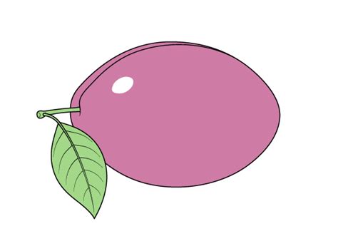 How to Draw a Plum Step by Step - EasyLineDrawing