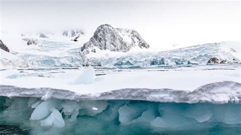 Climate change: Arctic glaciers 'shrinking by 300m each year' - BBC News