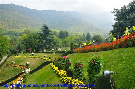 PHOTOGRAPHS UP AND DOWN THE LANE: Mugal Gardens of Srinagar