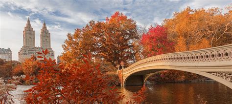 The Ritz-Carlton New York, Central Park Launches Romantic Experiences ...