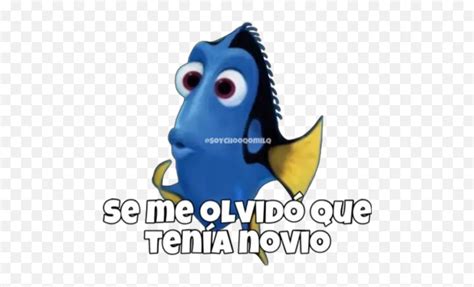 Dory Olvidadiza U2022 Stickers For Whatsapp - Stickers De Dory Para ...