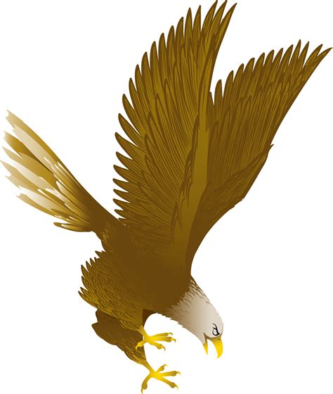 Bald Eagle Clip Art - Gambar Kartun Burung Elang - Png Download - Full ...