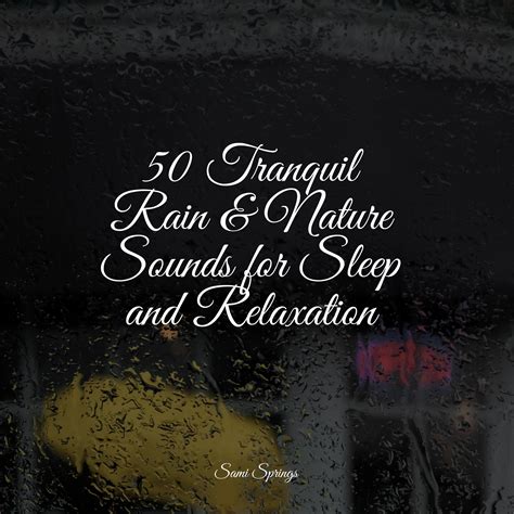 50 Tranquil Rain & Nature Sounds for Sleep and Relaxation - Sleep Songs ...