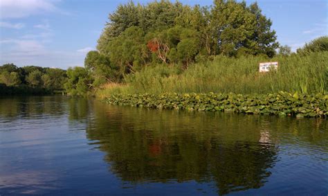 Muskegon River – Muskegon Lake Watershed Partnership