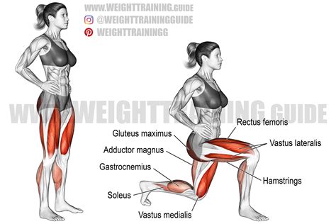 Lunge exercise instructions and video | Weight Training Guide