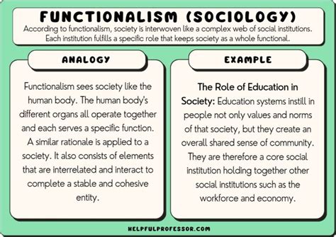 Functionalism in Sociology: Definition, Examples, Criticism (2024)