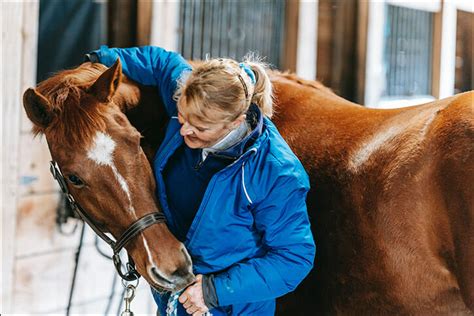 Xylazine Horse Tranquilizer Drug Use is Increasing - SummitRehab