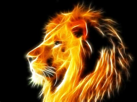 900x631px Colorful Lion Wallpaper - WallpaperSafari