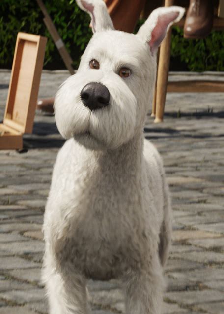 Snowy | Tintin Wiki | FANDOM powered by Wikia