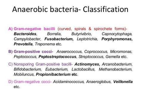 Anaerobic bacteria