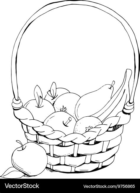 Fruit basket hand drawn Royalty Free Vector Image