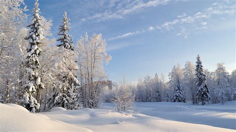 Beautiful snowy Russian winter (HD wallpapers) | Page 3 of 3 | Volganga