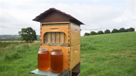 Flow, A Simple Beekeeping Box With Built-In Taps for Extracting Honey ...
