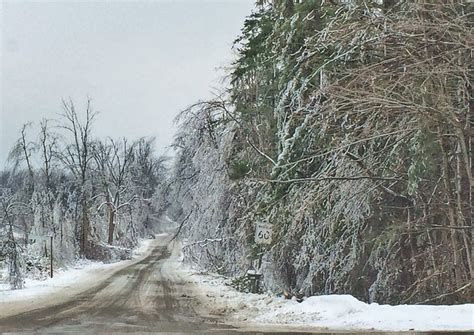 GTA and Southern Ontario Ice Storm 2013 - A Week Later · Suburban Tourist