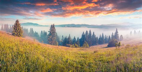 Colorful Morning Scene in the Mountains Stock Image - Image of beautiful, highland: 76744381