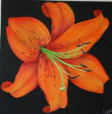 Tiger Lily Painting at PaintingValley.com | Explore collection of Tiger Lily Painting