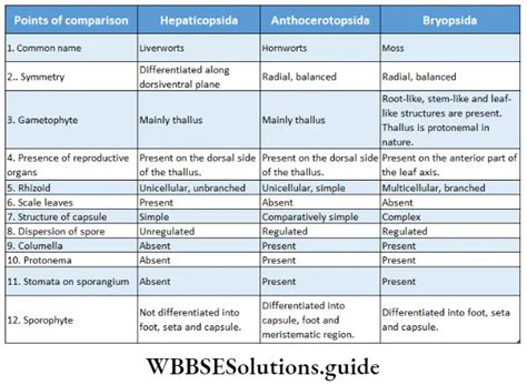 Bryophyta -Definition and Characteristics Notes - WBBSE Solutions