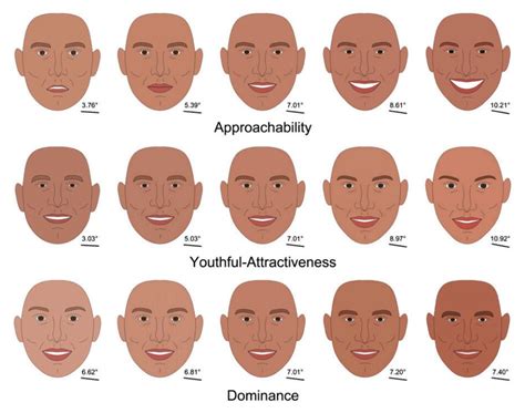 What your cheekbones say about you: Study shows brains make snap ...