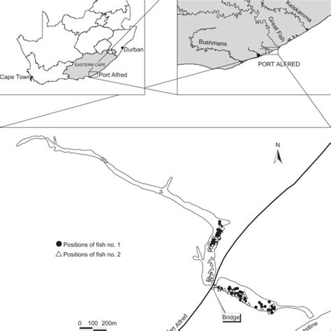 Map of the study site near Port Alfred in the Eastern Cape Province,... | Download Scientific ...