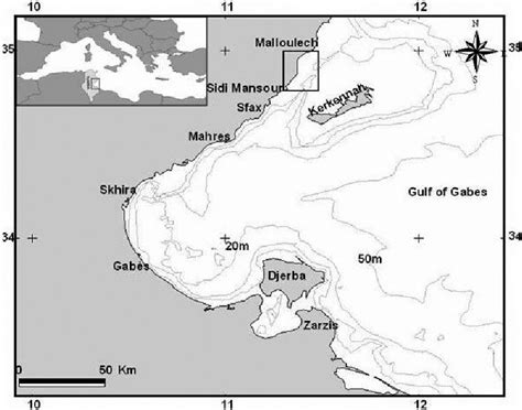 Map of the Gulf of Gabès (southern Tunisia) indicating the sampling ...