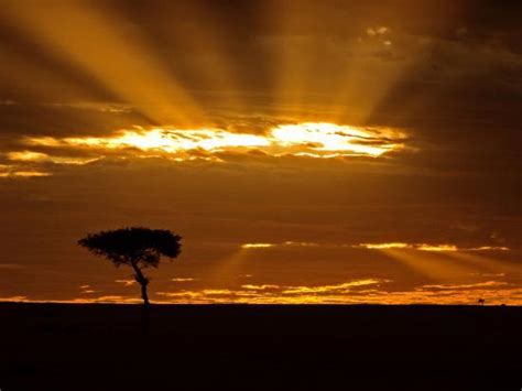 'Sunrise, Maasai Mara, Kenya' Photographic Print - Joe Restuccia III | AllPosters.com