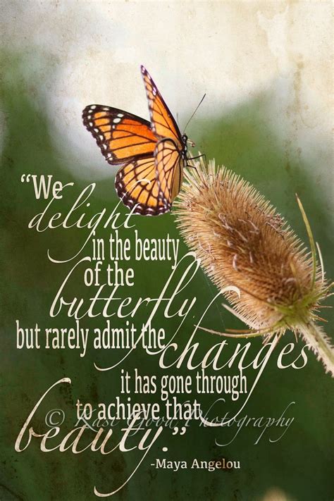 We delight in the beauty of the butterfly... | Butterfly quotes, Maya angelou quotes, Butterfly art