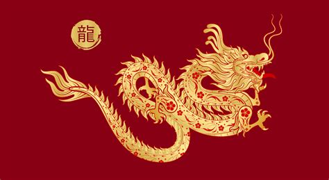 Chinese dragon gold modern flower pattern. Isolated on red background ...