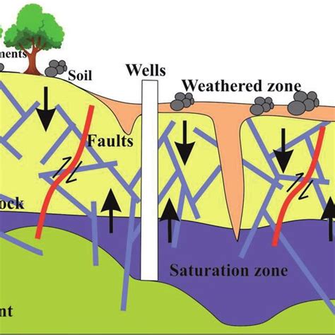 Downwelling, upwelling, and hyporheic exchange processes. | Download ...