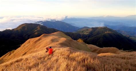 TravellingCup: Mt. Pulag and the Sea of Clouds